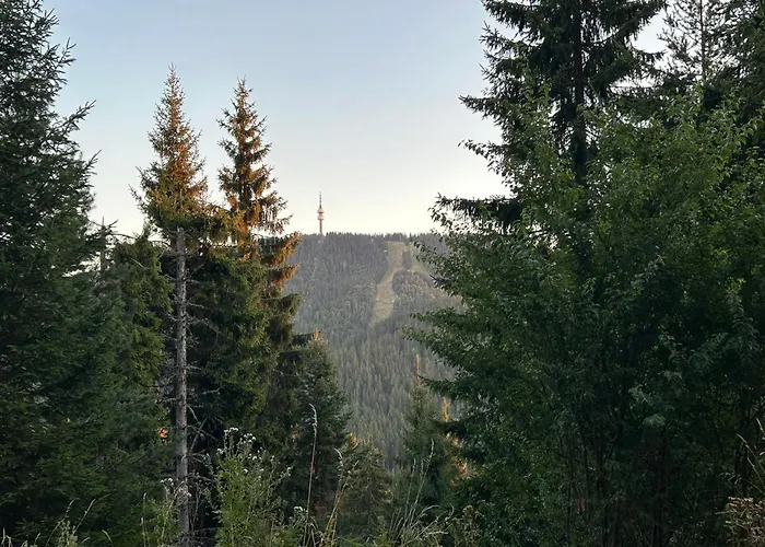 Hotel apartamentowy Monastery 2